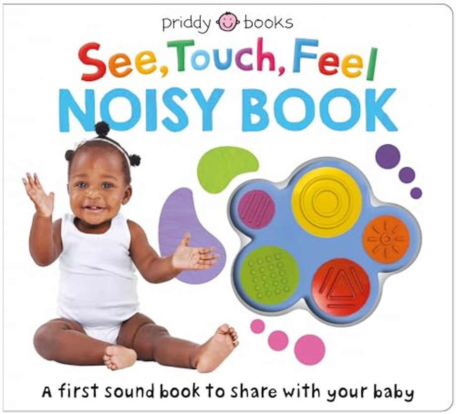 See, Touch, Feel Noisy Book