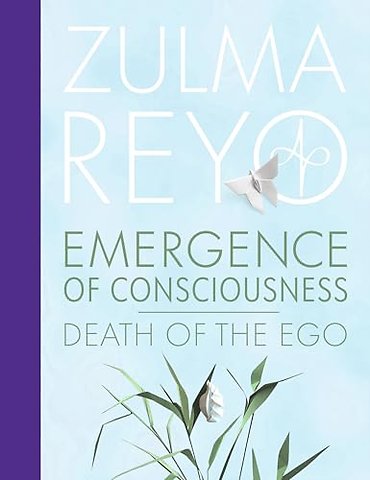 Emergence Of Consciousness