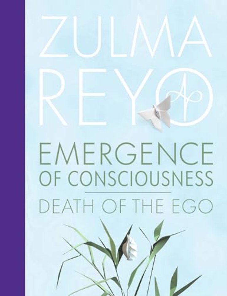 Emergence Of Consciousness