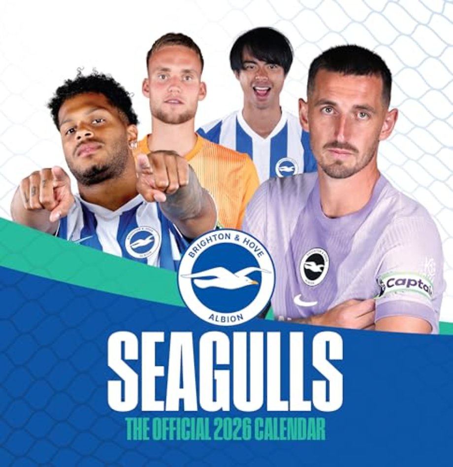 The Official Seagulls Desk Calendar 2026