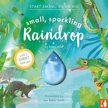 Small, Sparkling Raindrop