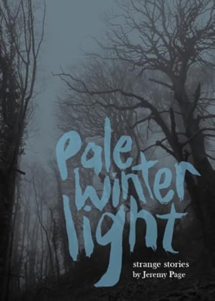 Pale Winter Light
