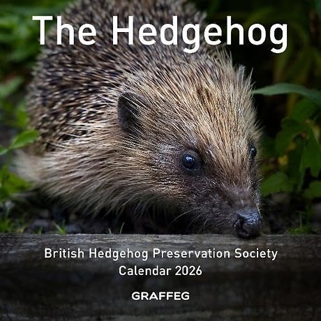 The Hedgehog Calendar 2026