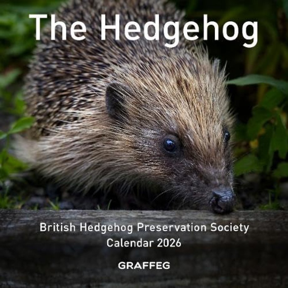 The Hedgehog Calendar 2026