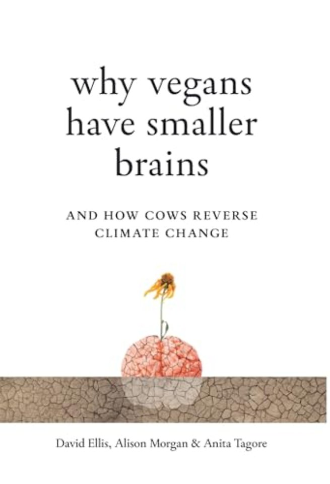 Why Vegans Have Smaller Brains