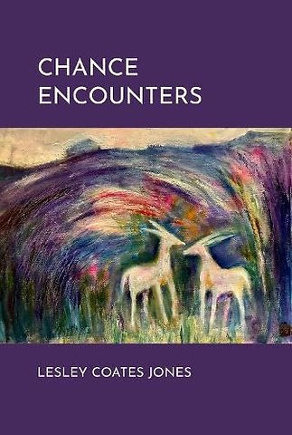 Chance Encounters