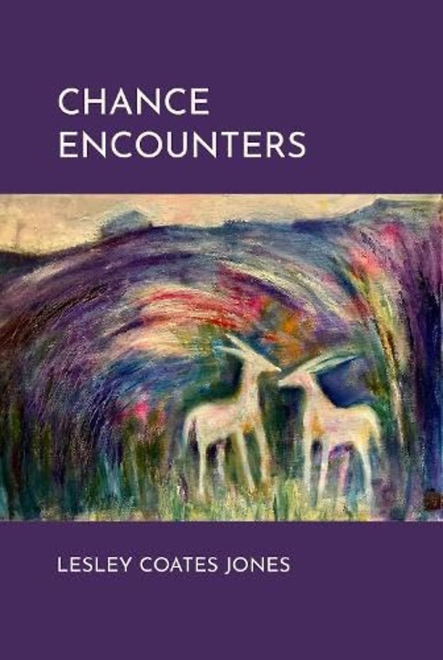 Chance Encounters