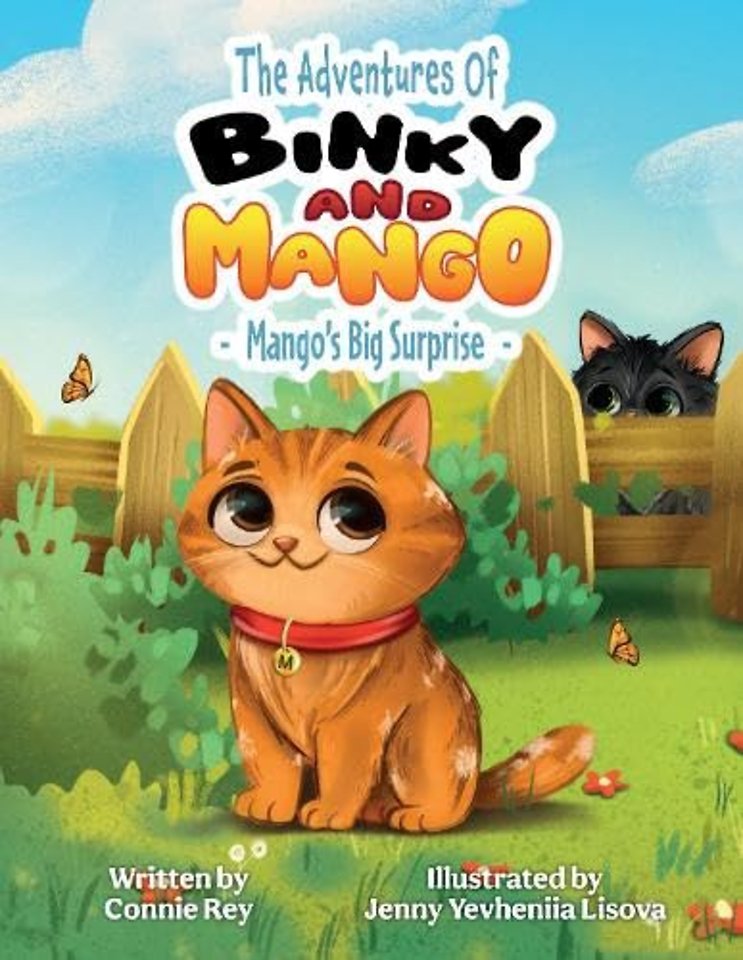THE ADVENTURES OF BINKY AND MANGO