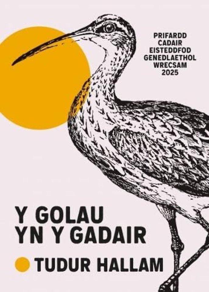 Y Golau yn y Gadair