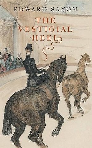 The Vestigial Heel