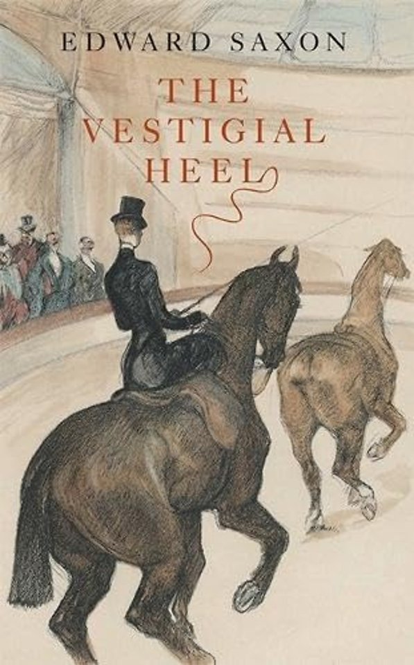 The Vestigial Heel
