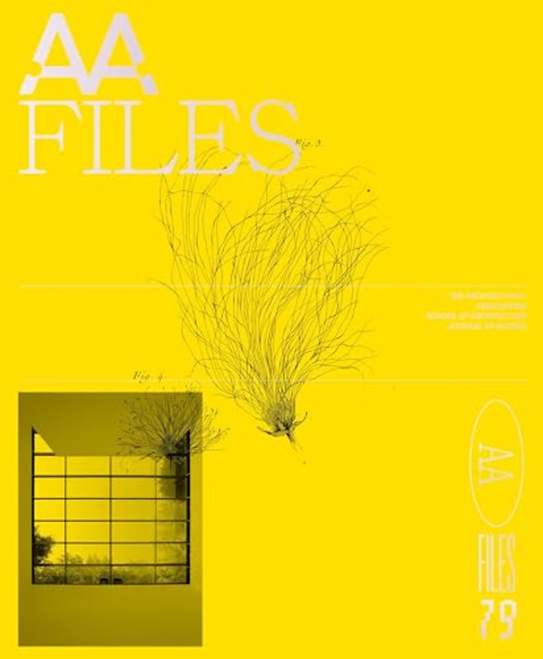 AA Files 79