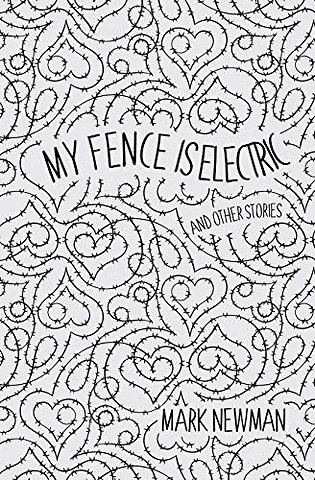 My Fence is Electric