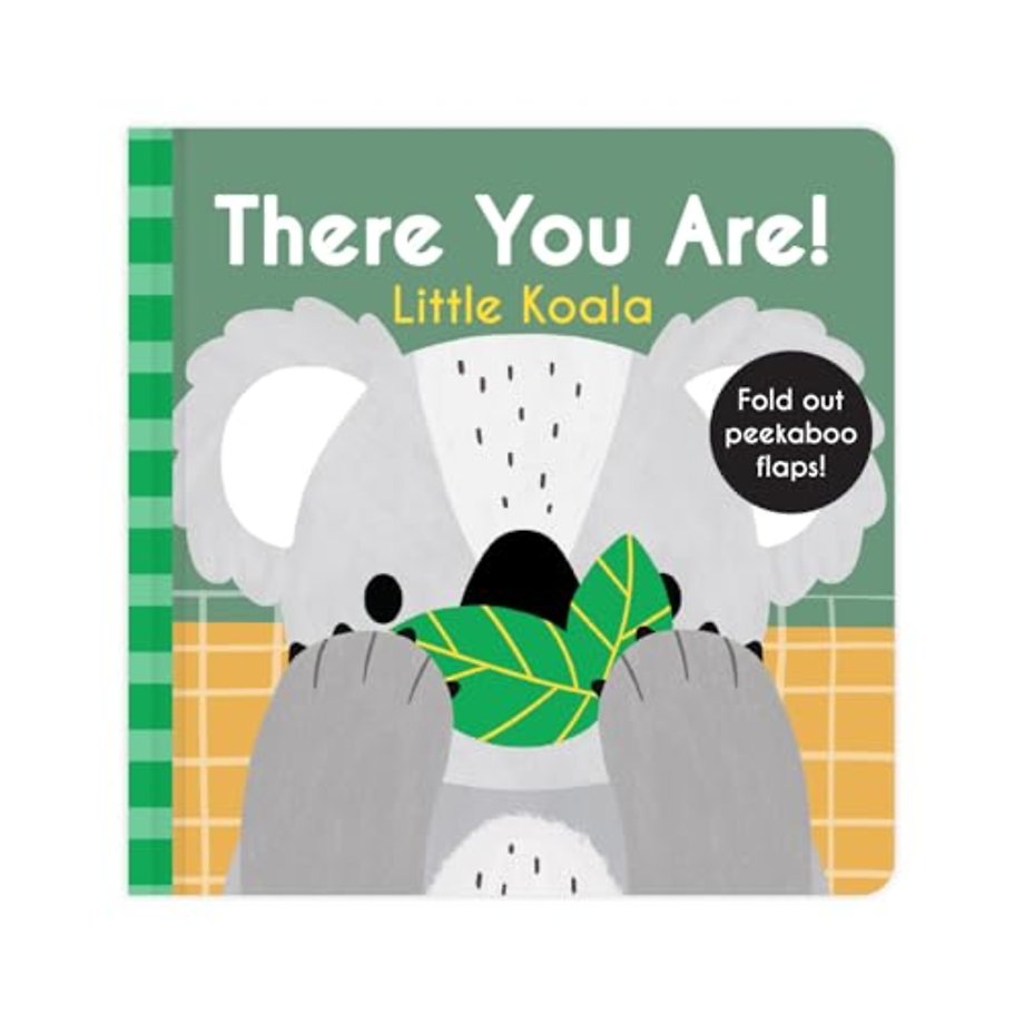 There You Are: Little Koala
