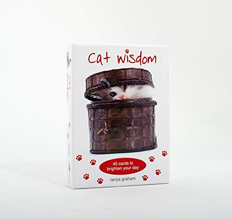Cat Wisdom Cards