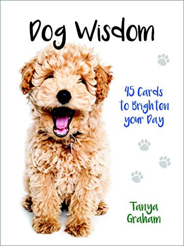 Dog Wisdom