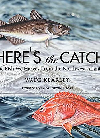 Here's the Catch