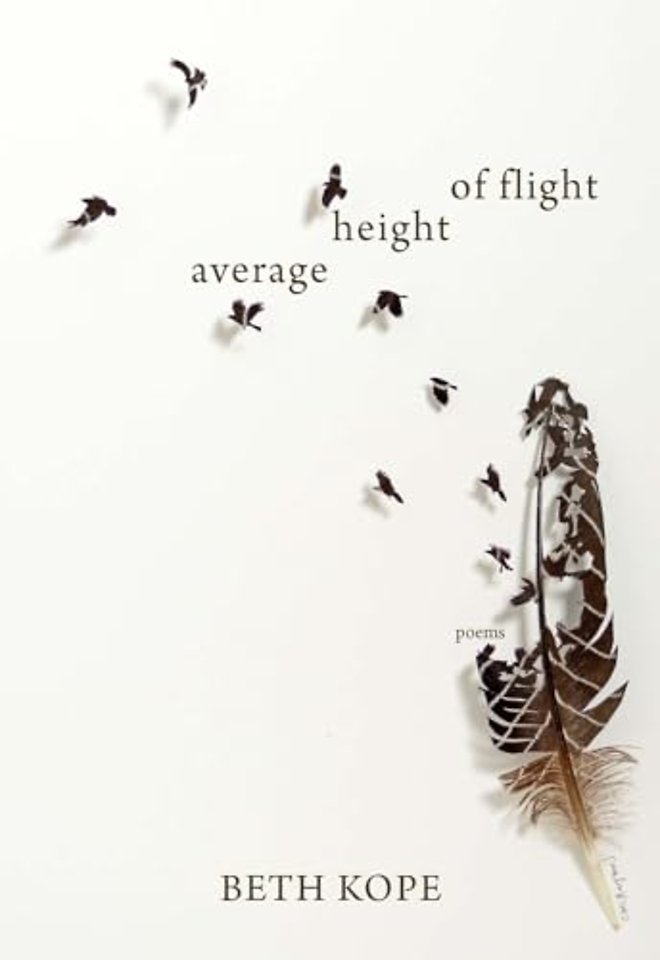 Average Height of Flight