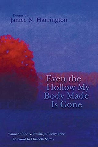 Even the Hollow My Body Made Is Gone