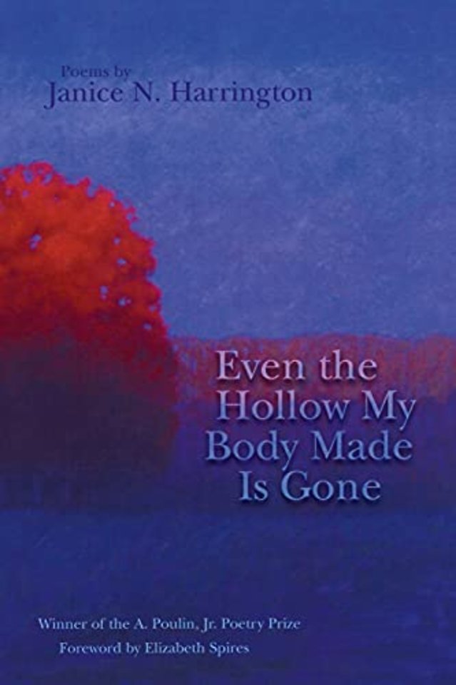 Even the Hollow My Body Made Is Gone