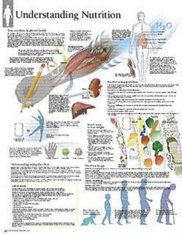 Understanding Nutrition Paper Poster