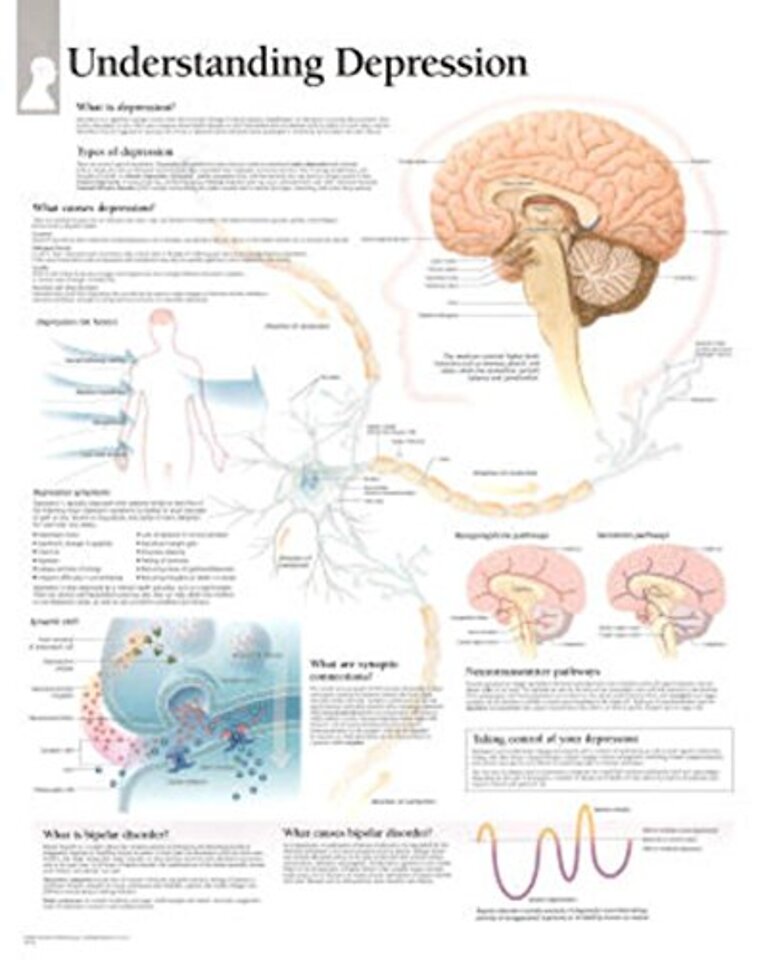 Understanding Depression Paper Poster