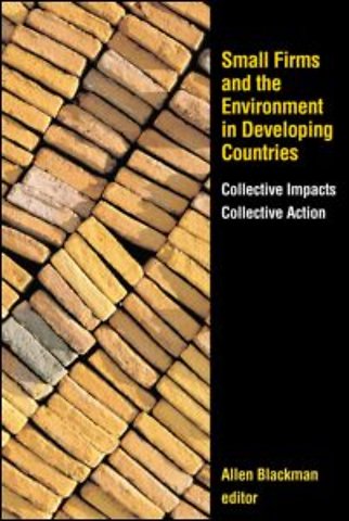 Small Firms and the Environment in Developing Countries