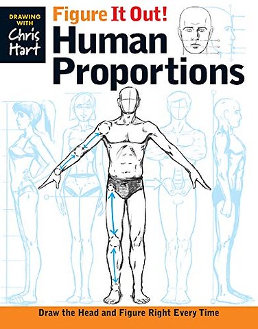 Figure It Out! Human Proportions