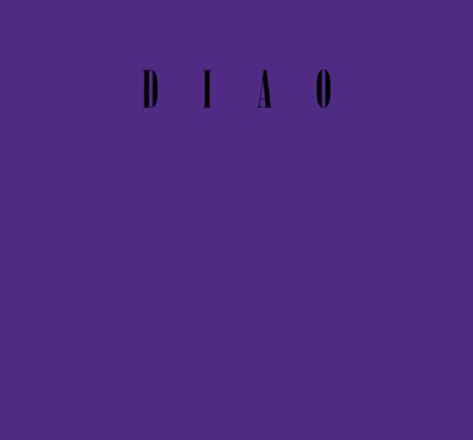 David Diao: On Barnett Newman