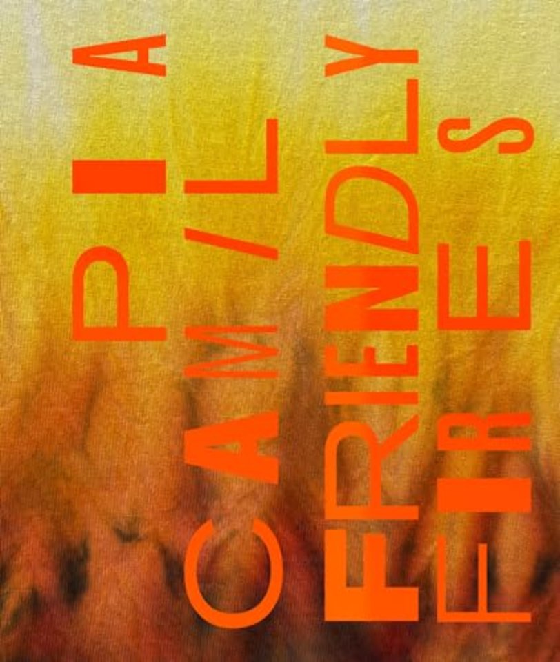 Pia Camil: Friendly Fires