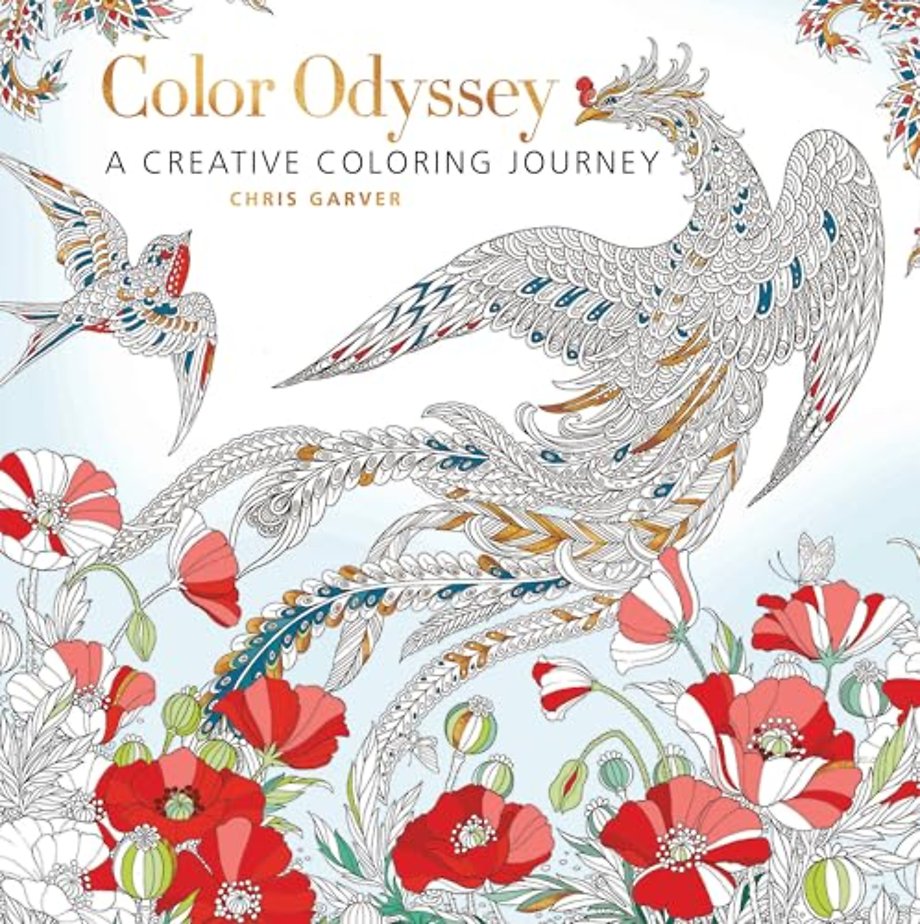 Color Odyssey