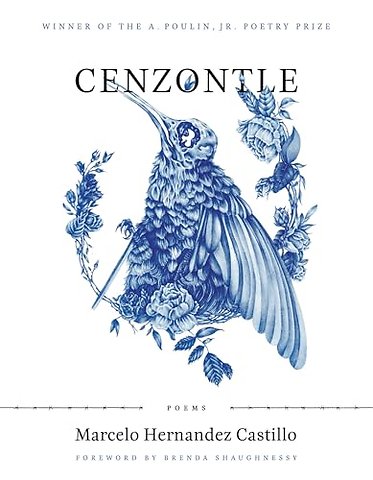 Cenzontle