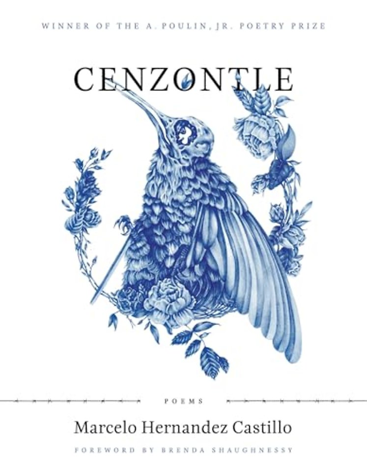 Cenzontle