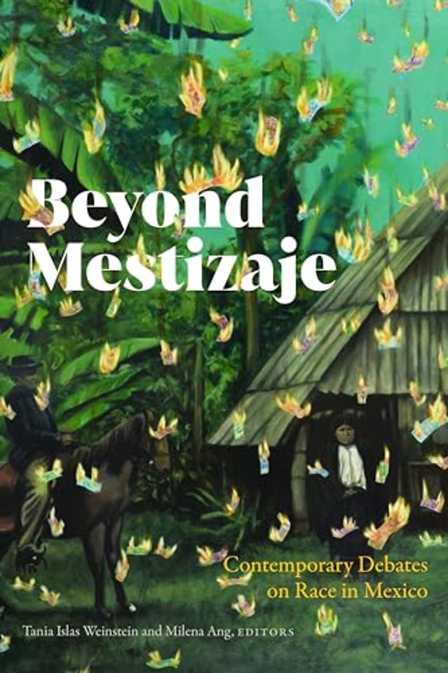 Beyond Mestizaje – Contemporary Debates on Race in  Mexico