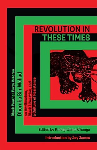 Revolution In These Times