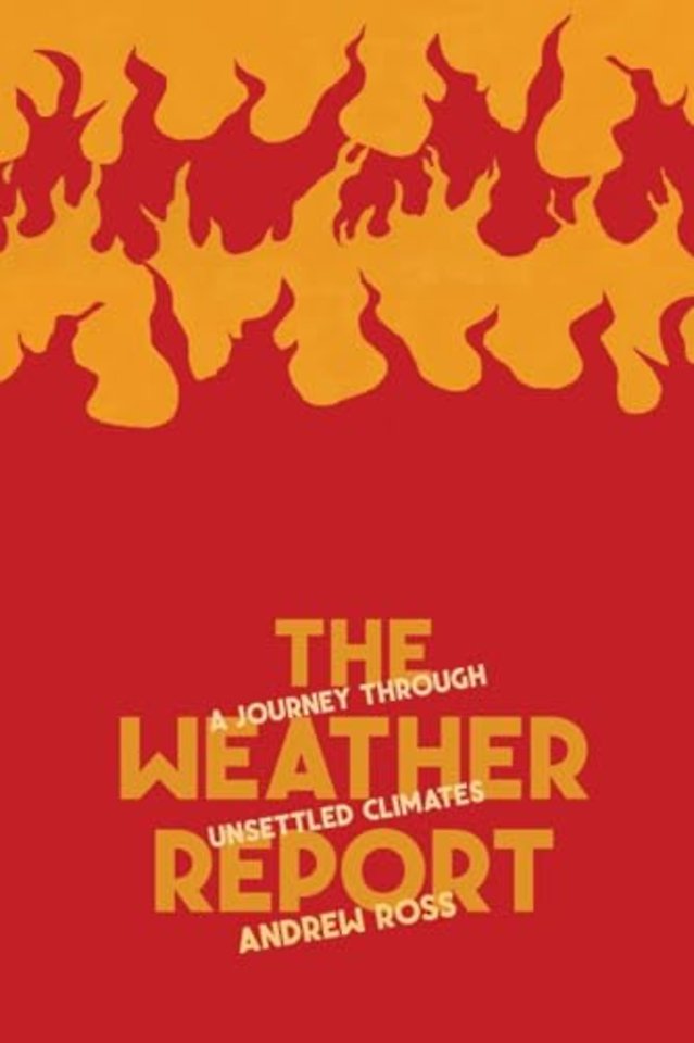 The Weather Report