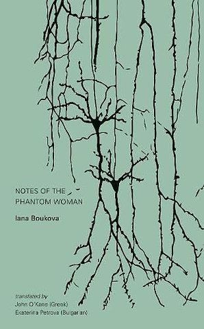 Notes of the Phantom Woman