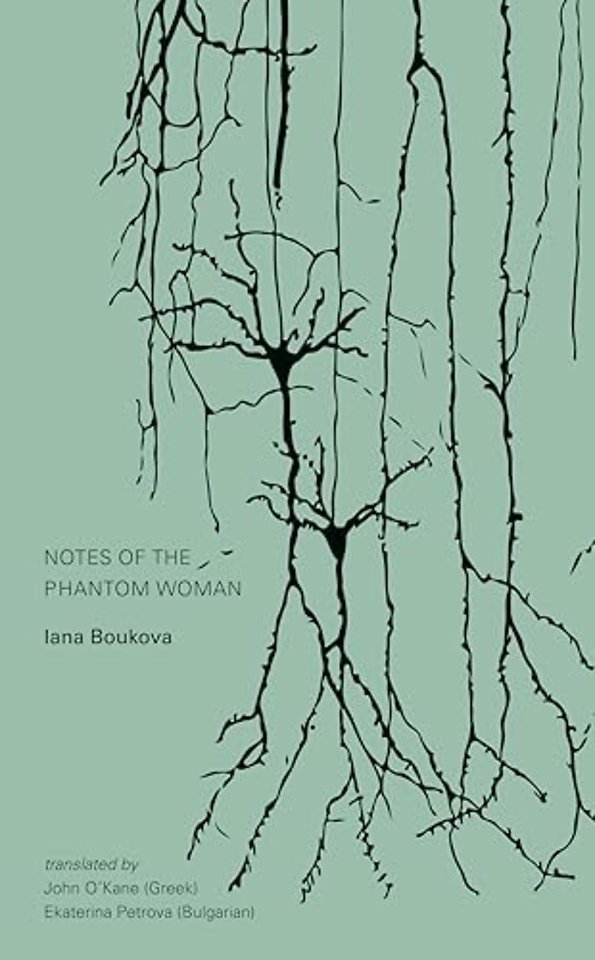 Notes of the Phantom Woman