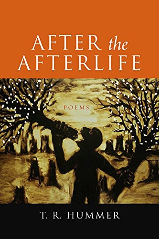 After the Afterlife – Poems