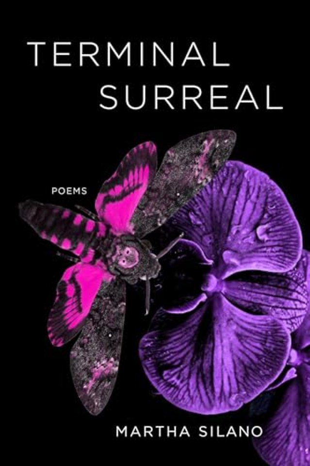 Terminal Surreal – Poems
