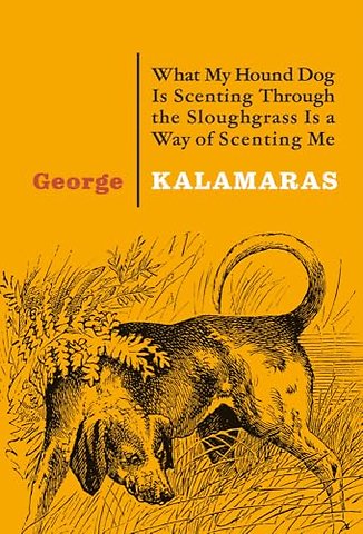 What My Hound Dog Is Scenting Through the Sloughgrass Is a Way of Scenting Me