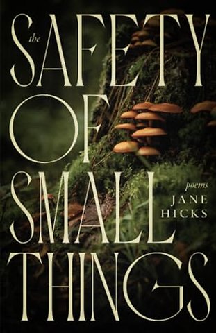 The Safety of Small Things