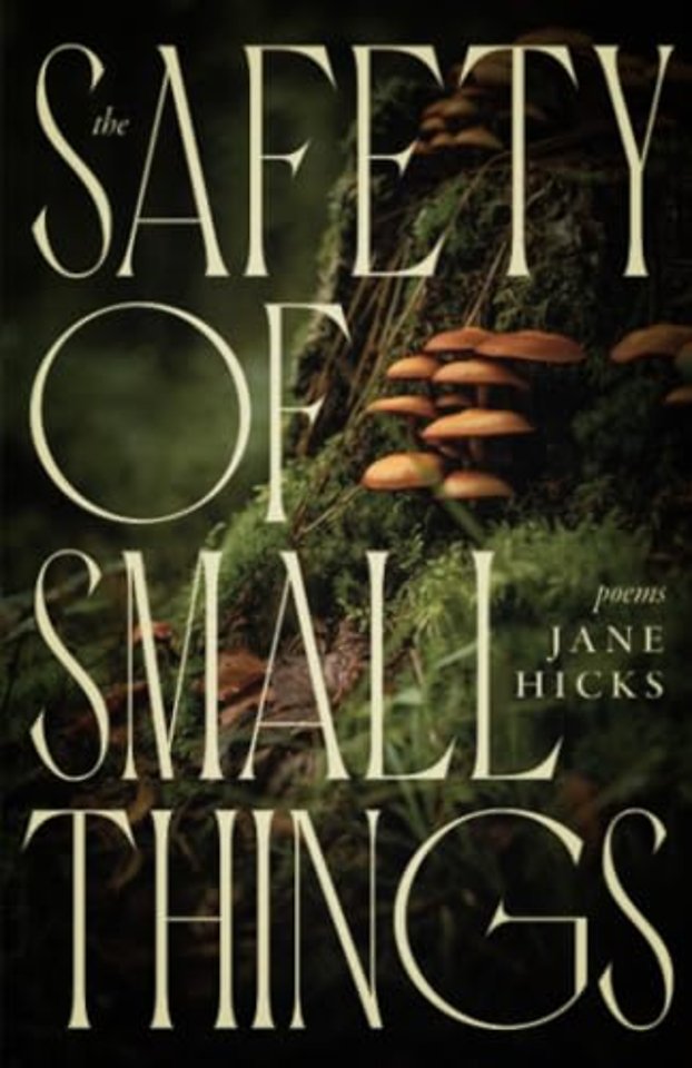 The Safety of Small Things