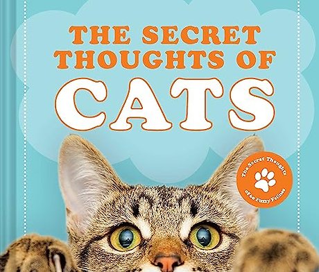 The Secret Thoughts of Cats