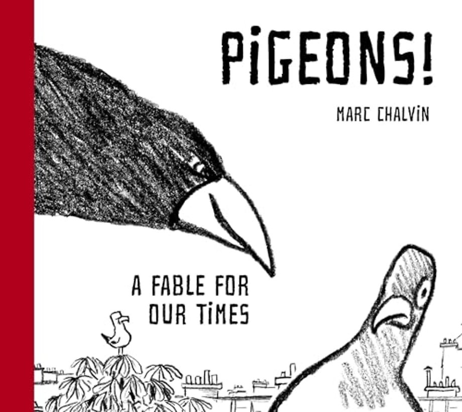 Pigeons!