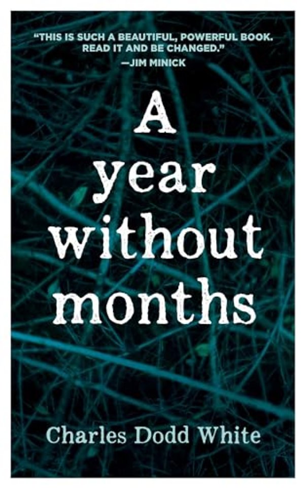 A Year Without Months