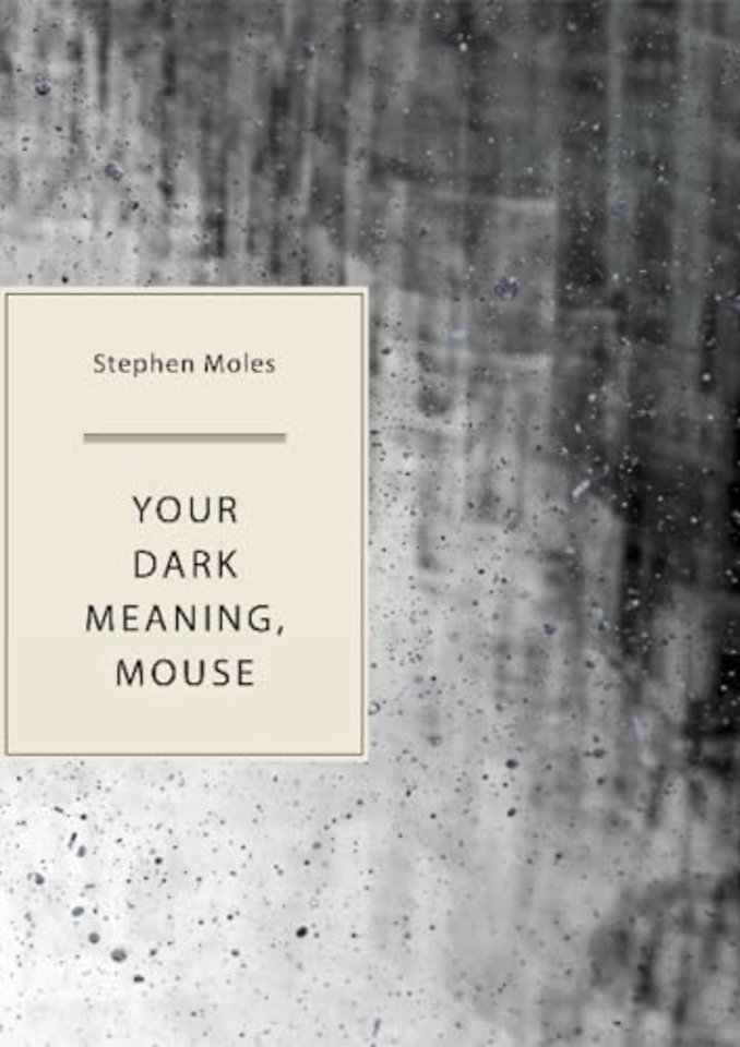 Your Dark Meaning, Mouse