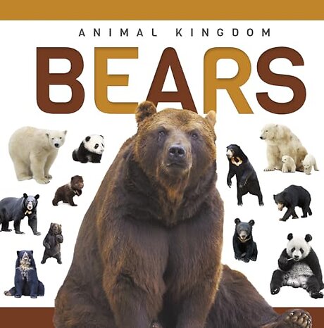 Bears