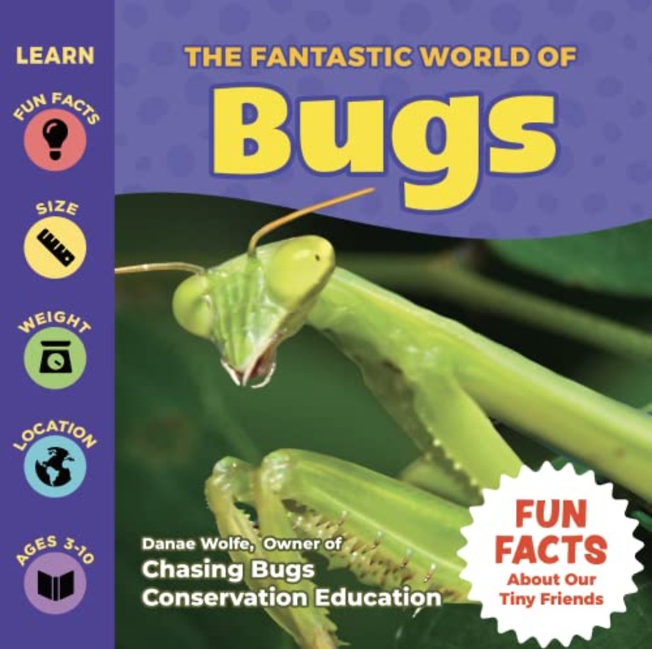 The Fantastic World of Bugs