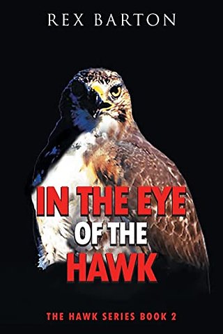 In The Eye Of The Hawk